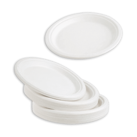 10 Inch Bagasse Plate 02